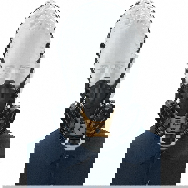 Full Face Respirator: Large